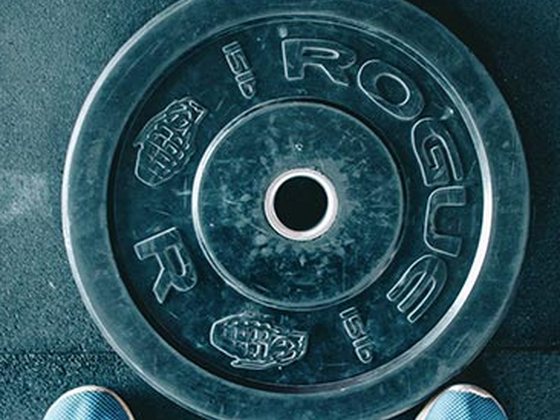 Privacy Policy at Wellness Fit Pulse