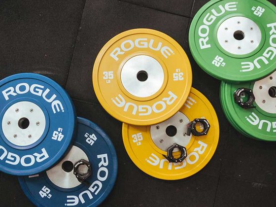 Terms and Conditions at Wellness Fit Pulse
